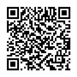 秦岚便听到不远处一间办公室传来乱哄哄的声音二维码生成