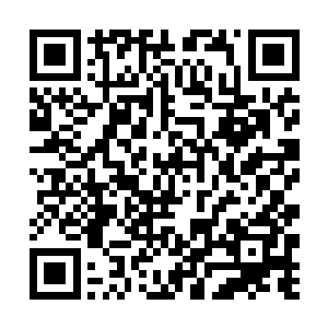 秦岚生怕夏云杰这个酒吧打工仔再说出什么惊天之语二维码生成