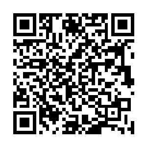 秦州所有的事情都可以名正言顺的向朝廷做出一个解释了二维码生成