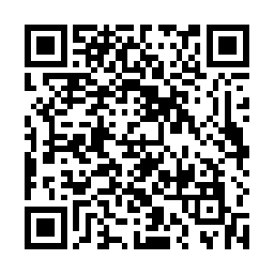 秦府中秦族长就知道事情并没有朝他想象中的情形发展二维码生成