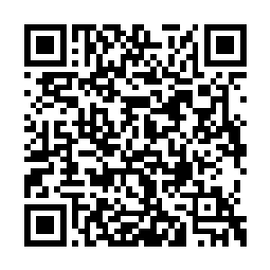 秦弋一双眼睛像刮骨刀将蛋圆圆无声地刮了一遍二维码生成