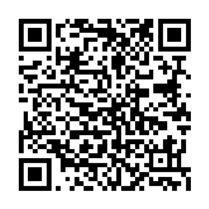 秦彪已经如同疯狗一般地举起了那根粗大的钢管二维码生成