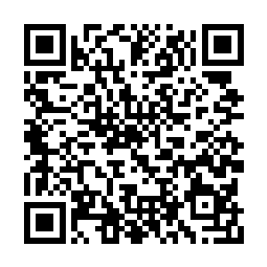 秦战和十三少脸上都浮现出一丝幸灾乐祸的笑容二维码生成