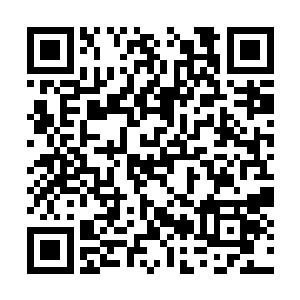 秦方一边闪避着原始森林中的那些杀机四伏的机关二维码生成