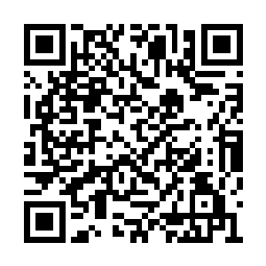 秦方为了这一株卧虎草就已经耽搁了不少时间了二维码生成