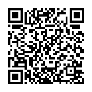 秦方也仅仅只能得到这么一点点有用的东西而已二维码生成