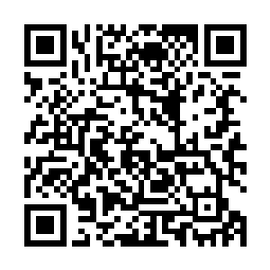 秦方也是一掌击中了万妙邪刀南宫翔……掌力雄浑无比二维码生成