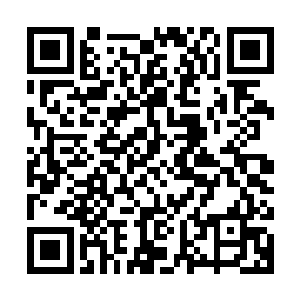 秦方也是忍不住为它取了一个新的名字……看着它的模样就知道二维码生成