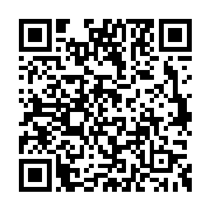 秦方也是立即向着李无花远去的方向追了过去的二维码生成