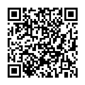 秦方也还算是比较满意的……至少雇佣兵首领受伤不轻二维码生成