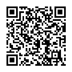 秦方今天却是意外的催生出了威力绝伦的四象琉璃火……二维码生成