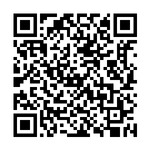 秦方从很小的时候开始就已经被秦青撵到一边自己睡了二维码生成