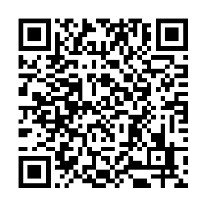 秦方他们两个也是有机会趁机钻入裴家祖地去打劫的二维码生成