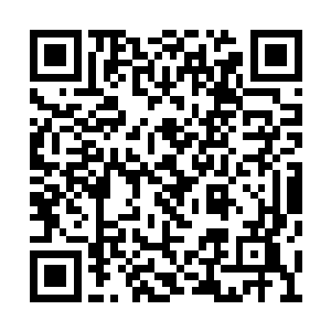 秦方他们只能隔着那厚厚的玻璃查看里面的情况二维码生成