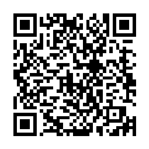 秦方便知道自己的需求应该是应在了这一只团队身上了二维码生成