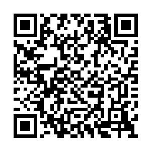 秦方倒是有点想见识一下这个强大而邪恶的存在二维码生成