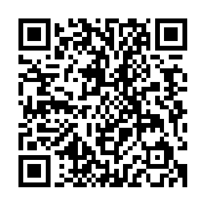 秦方倒是没有再去出手捉它……之前完全是这小家伙主动攻击他二维码生成