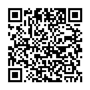 秦方其实也是有这样的疑问……攻击力堪称变态二维码生成