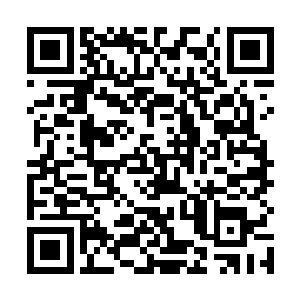 秦方几乎是毫不犹豫的放弃了这边还在商讨之中的生意二维码生成