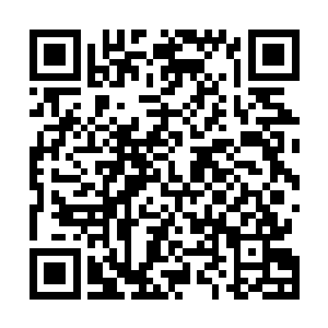 秦方即便是想破坏也破坏不起来……索姓也就直接放弃了二维码生成