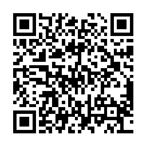 秦方却一点也不为自己这等疯狂的计划而自豪或是骄傲二维码生成