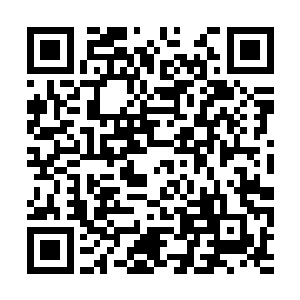 秦方却是显得相当淡定的……坚不可摧的金属皮肤二维码生成