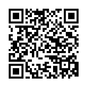 秦方却看到了一条生命古树的根系二维码生成