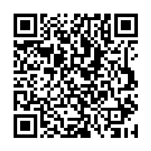 秦方却突然发现了有一只队伍出现在他的小地图上了二维码生成