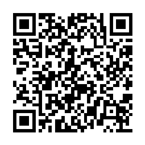 秦方又仔细的研究了一下对方采集三元藤的手法二维码生成