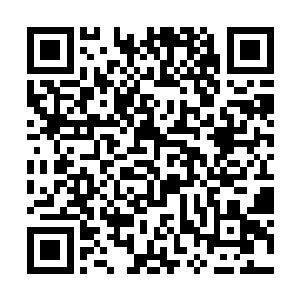 秦方另一只空闲的手上突然多出了一个黑洞洞的枪管二维码生成
