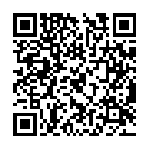 秦方只需要选择学习就会变成他的一种身体的本能二维码生成