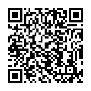 秦方周围的树木顿时像是受到了某种神秘力量的召唤似的二维码生成