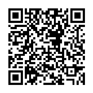 秦方对于其他的那些珍稀药材的兴趣却是相当高的二维码生成