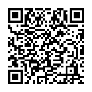 秦方就已经从一个从没有摸过方向盘的新手变成了现在的熟手了二维码生成