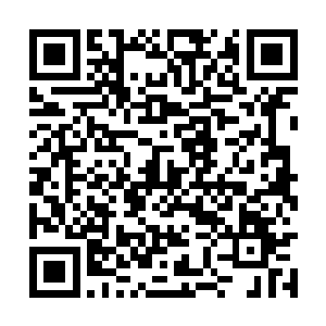 秦方就已经来到了已经彻底呆立了的杨九的身边了二维码生成