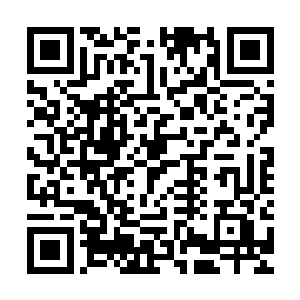秦方就是想追也别指望能够追得上的……想这么多也没什么用处二维码生成