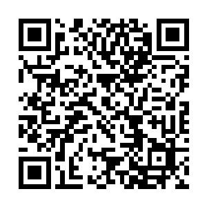 秦方就没有再继续抵抗了……因为抵抗是毫无意义的二维码生成