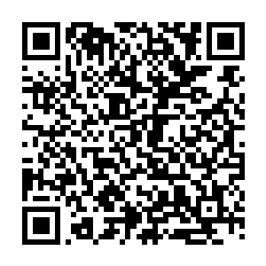 秦方就预料到了这样的一个结果……霸王乌贼绝对算是海洋中的一大霸主二维码生成