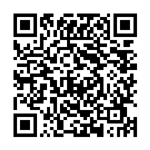 秦方居然可以跟大宗师级修为的赵玄拼上一个半斤八两二维码生成
