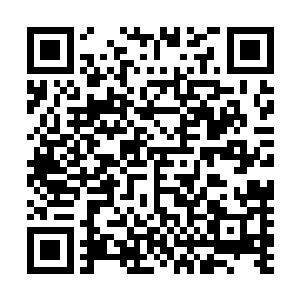 秦方总是会对每一个跟自己接触的人丢一个侦查技能过去的二维码生成