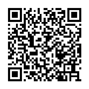 秦方才惊讶的发现……自己刚才看到的那一部分二维码生成