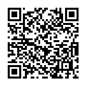 秦方明显早就预料到了石青锋会是这样的一个反应二维码生成