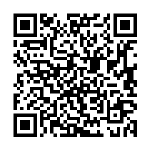 秦方明显是没有那样的机会的……倒是在这山林之中二维码生成