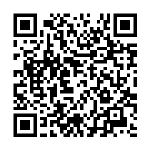 秦方是说什么也不愿意看着它功亏一篑的……于是二维码生成