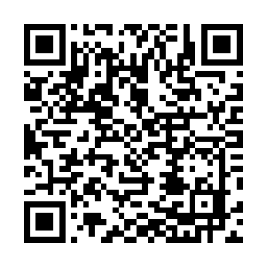 秦方更是清晰的感觉到了这两只大家伙正在以极快的速度二维码生成