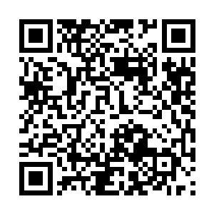 秦方的压力也逐渐扩大到了一个相当庞大的程度了二维码生成