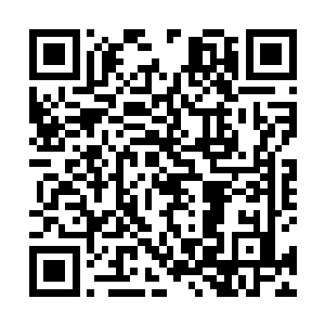 秦方的手中正拿着一枚内丹……一枚巅峰灵兽王的内丹二维码生成