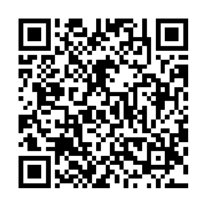 秦方的狂暴拳劲就狠狠的轰击在叶翔体表的护身罡气之上了二维码生成