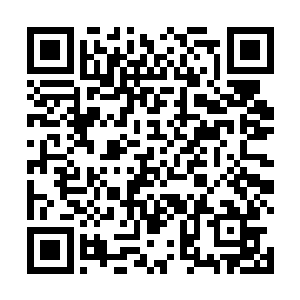 秦方的脑海里立即想到了某种只存在于传说中的生物了二维码生成