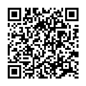 秦方的这一剑却是已经凶悍无比的劈砍了下来的……二维码生成